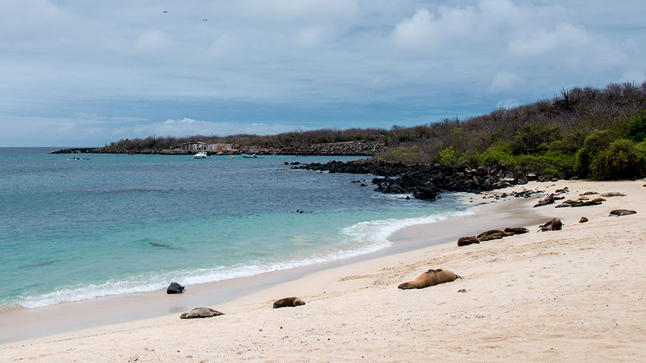 San Cristobal Island Galapagos