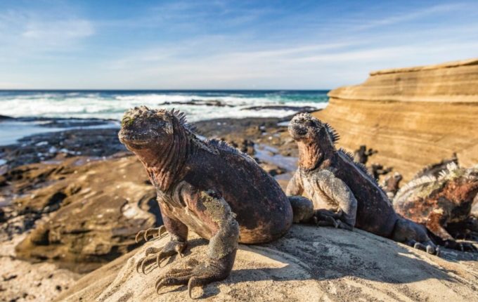 xr:d:DAEchyFIuZc:1033,j:3586394626238566668,t:23091917